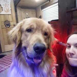 Meet your Posher, Alexa